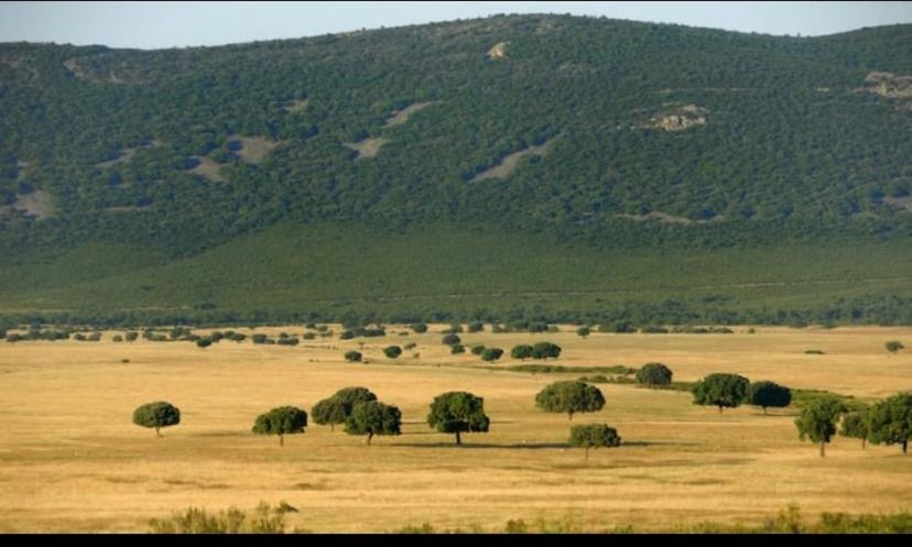 Esuri Chalet 300M Con 1000M Parcela Privada A 8Min De Puy Du Fou Argés المظهر الخارجي الصورة